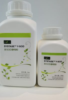 त्वचा की सुरक्षा 99% एसओडी सुपरऑक्साइड डिसम्यूटेज एंटी एजिंग